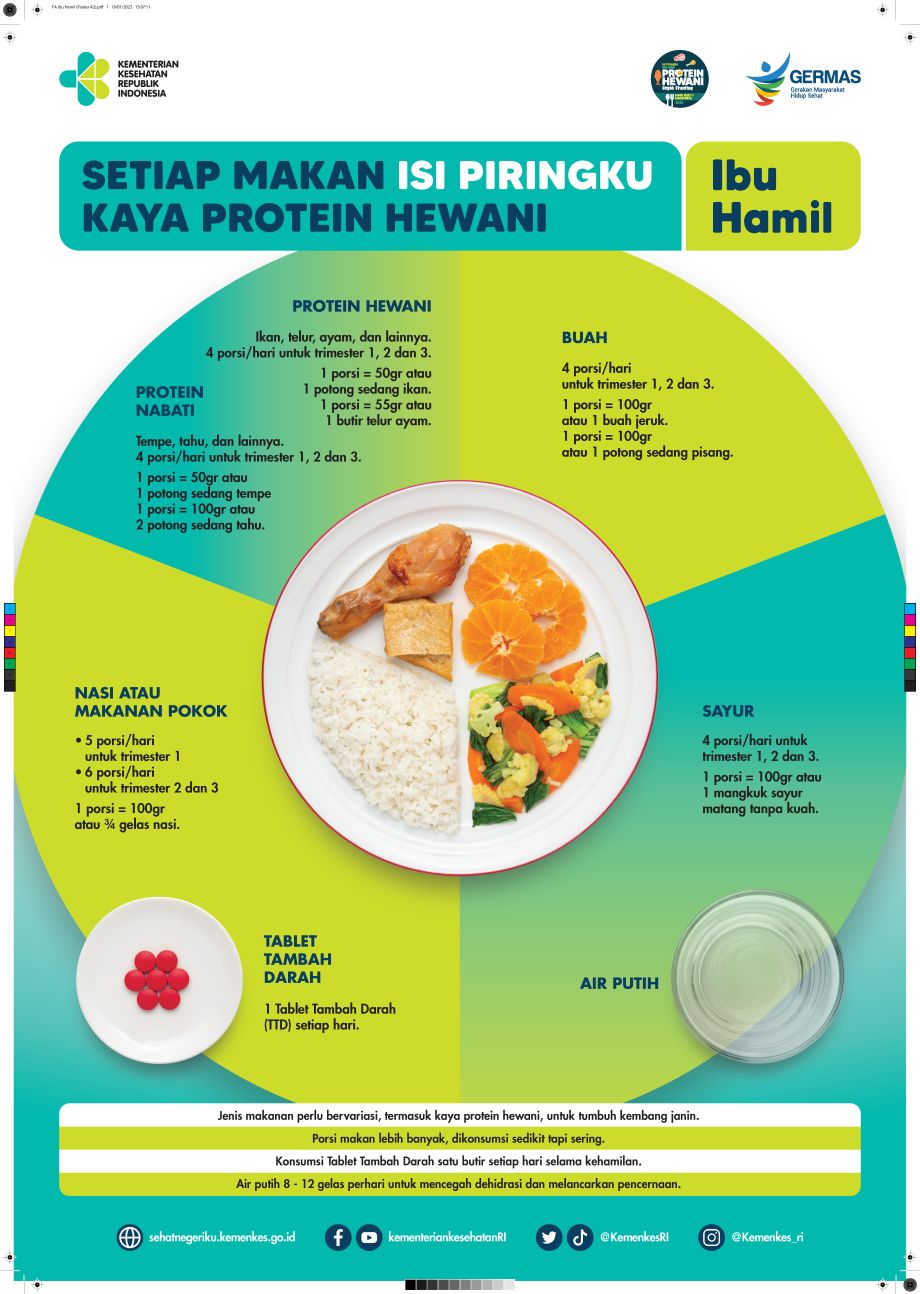 Porsi Makan Ibu Hamil