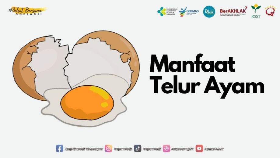 Mengenal Kandungan dan Manfaat Telur Ayam